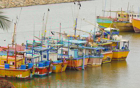 Fishing boats docked in srilankan fishery port during corona period.