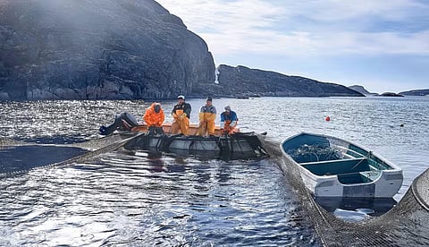 Fishermen from Royal Greenland fishing for Nutaaq® cod.