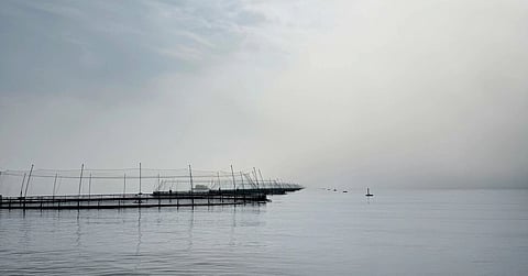 Kaldvík is a fish farming company based in the East Fjords of Iceland.