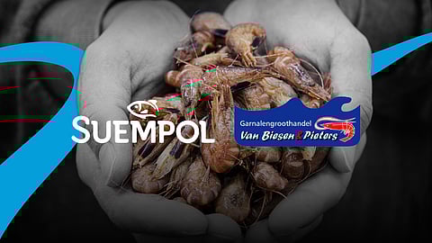 Suempol is the oldest producer of smoked salmon in Poland.