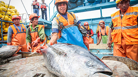 Tuna fishermen in Peru.