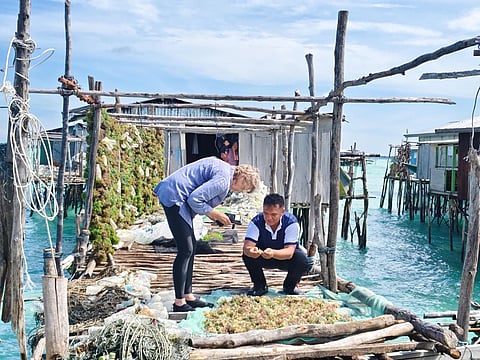 Prof. Juliet Brodie of the Natural History Museum, London meets with Malaysian seaweed farmers.