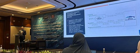 Subpesca highlighted the importance of small pelagic fisheries — such as common sardine and anchoveta for the APEC Region.