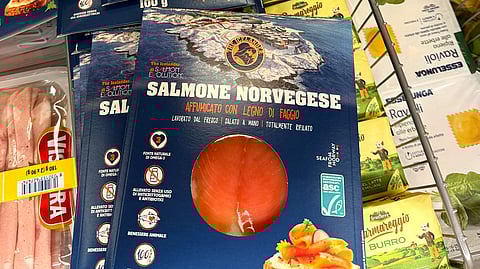 Salmon Evolution and Milarex have launched land-based smoked salmon in Italy.