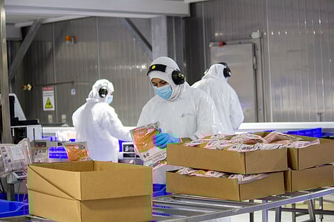 Salmones Camanchaca processing plant.