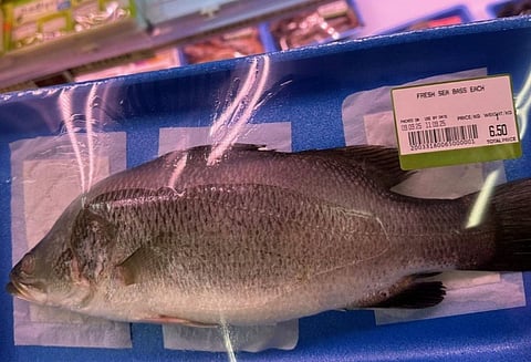 Barramundi (Lates calcarifer) labelled as sea bass.