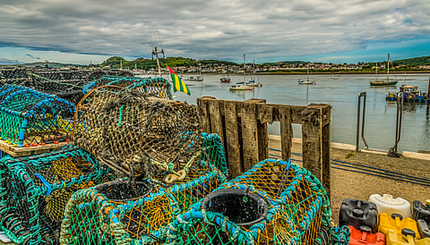 Lobster pots at Conwy Harbour, North Wales.