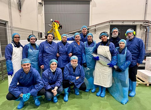 Staff at LAXEY's aquaculture facility in Vestmannaeyjar, Iceland.