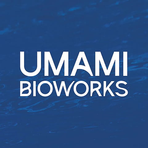 UMAMI's solutions are powered by the AI-driven platform, ALKEMYST™.