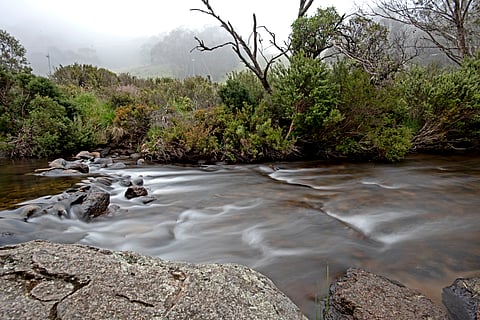 Foggy morning Thredbo river walk - NSW, Australia