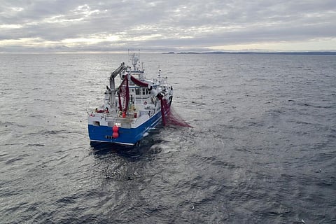 "The new rules will modernise the way fishing activities are controlled, for EU vessels and those fishing in EU waters and foster consistent enforcement across the EU," according to the EU Commission. 