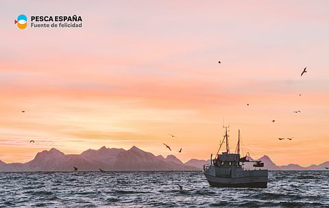 Fishing in Spain provides jobs for more than 66,000 people.