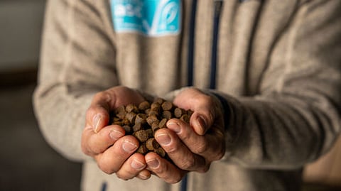 BioMar’s Nersac mill and New Caledonian aquafeed producers SICA and Provenderie Saint Vincent have achieved ASC certification.