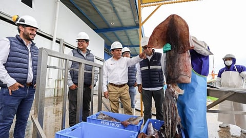 Peru's Minister of Production, César Quispe Luján, during his visit to the Perú Frost plant.