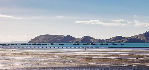 Coastline with boats in New Zealand.