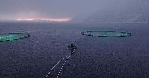 All engineering and production are carried out at the 12,000-square-meter facility located in Straumgjerde, in the municipality of Sykkylven.