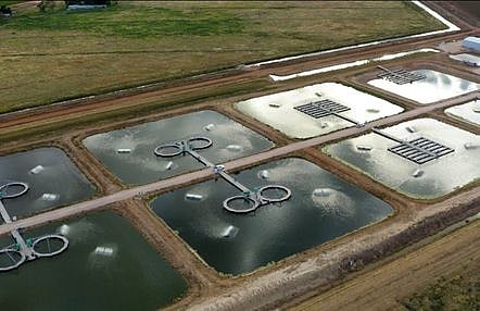 It operates under the brand Aquna Sustainable Murray Cod and focuses on a sustainable aquaculture model.