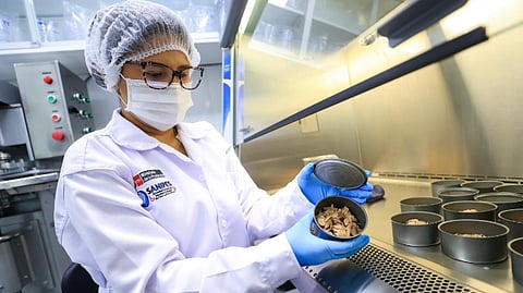 Peru was recognized as a country free of four diseases affecting rainbow trout.