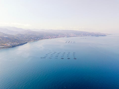 Wide aerial panorama of fish farms off the coast of Arsin, Trabzon, Turkey. Black Sea coastline with circular aquaculture cages visible in the distance, showcasing marine food production and seascape.