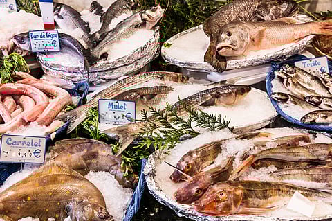 Seafood on sale at a fish counter in Paris.