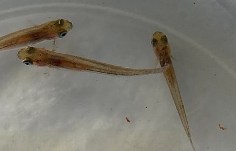 UCN has collaborated with educational institutions in the Atacama and Coquimbo regions.