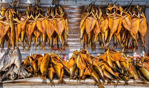 Smoked fish on a farmers market from Lake Issyk Kul in Kyrgyzstan