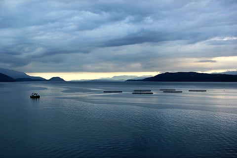 Hardanger fjord, Hordaland county, Norway