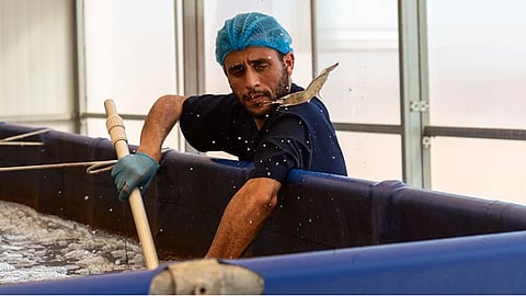 The World Bank Group is supporting Morocco in building a climate-resilient Blue Economy.