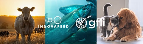 The Global Feed LCA Institute is developing an updated database for the animal feed ingredients industry.