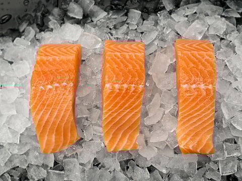 Scottish salmon on ice.