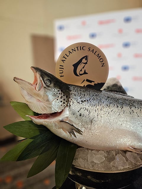 Fuji Atlantic Salmon presentation in Taiwan.