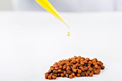 Cargill says this shows the need for more research focused on rainbow trout.