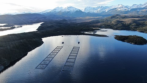 Salmon farm in Magallanes Region, Chile.