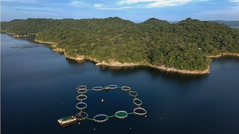 Mvuvi Group, Lake Cahora Bassa, Mozambique.