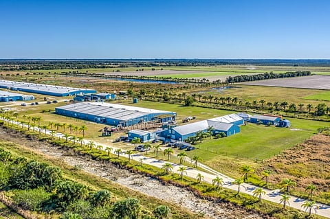 Benchmark Genetics' commercial shrimp operations in Fellsmere, Florida, U.S.