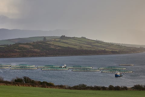 An aquaculture farm in Donegal, Ireland.
