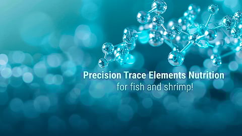 Aller Aqua is a Danish company specializing in the production of aquaculture feed.