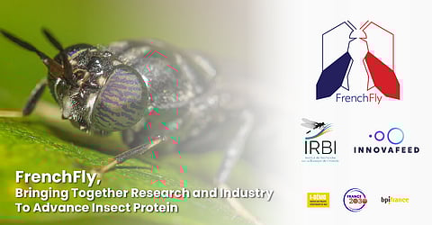 The Institute for Insect Biology Research specializes in the study of insects.