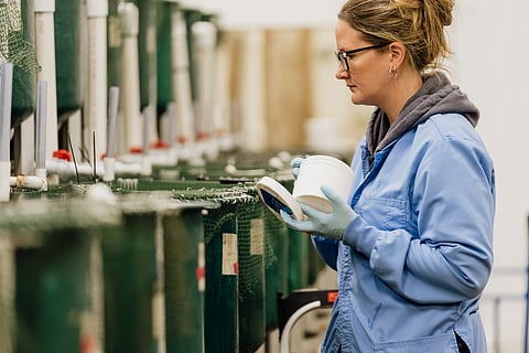 "These results further support the use of insect-derived ingredients as both nutritionally effective and functionally beneficial components of aquaculture feeds," according to Innovafeed and Onda.