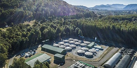 Ace Aquatec's A-BIOMASS® system is an intelligent underwater camera powered by artificial intelligence.