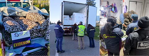 Additionally, 14 vehicles used for transportation have been seized.