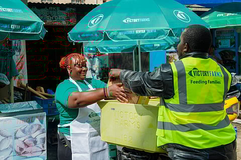 A market trader receives a delivery of tilapia from Victory Farms.