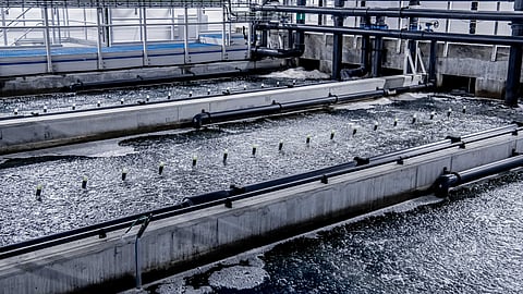 AKVA group is the world's largest supplier of solutions and services to aquaculture.