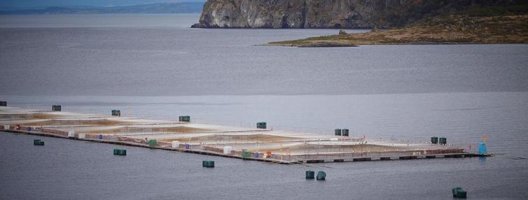 Applications will be assessed on a case-by-case basis, with direct coordination established with concession holders.