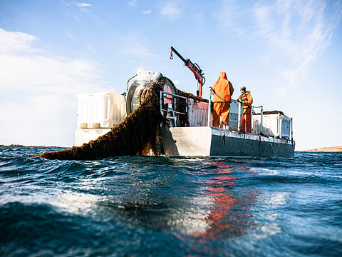 This year's site visit is hosted by Nordic SeaFarm, including a visit to their seaweed cultivation site in the Grebbestad archipelago.