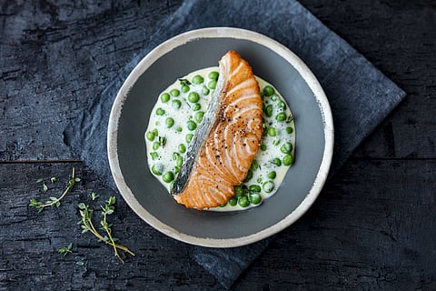 Scottish salmon meal.