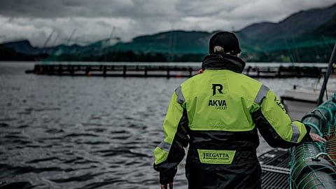 AKVA group sale still on the cards, as revenue and order intake rise