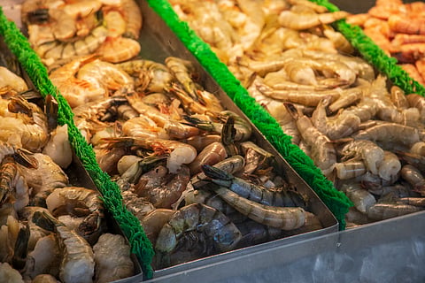 Wild caught shrimp, Jumbo shrimp, pink shrimp on display in a glass refrigerator at the Municipal Market in Atlanta Georgia USA.