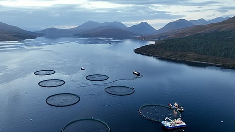 Aerial view of a salmon farm in Scotland.