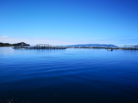 Salmon farm in Scotland.